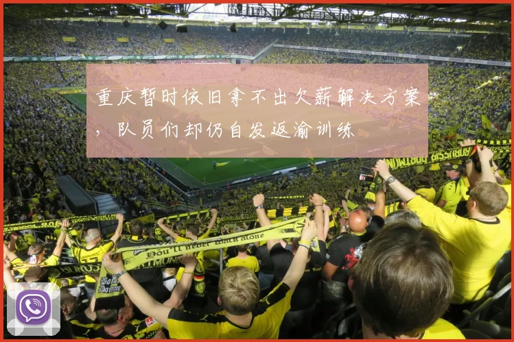 重庆暂时依旧拿不出欠薪解决方案，队员们却仍自发返渝训练