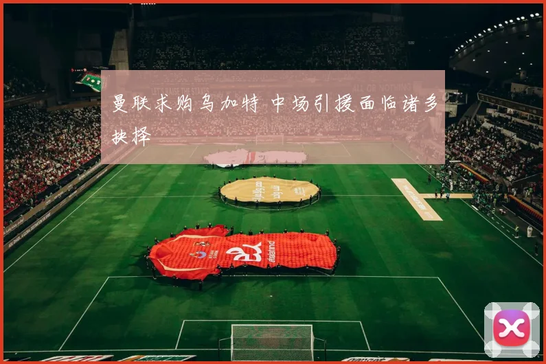 曼联求购乌加特 中场引援面临诸多抉择