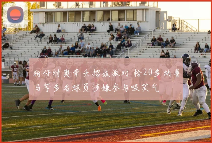 狗仔特奥牵头招妓派对 恰20多纳鲁马等多名球员涉嫌参与吸笑气