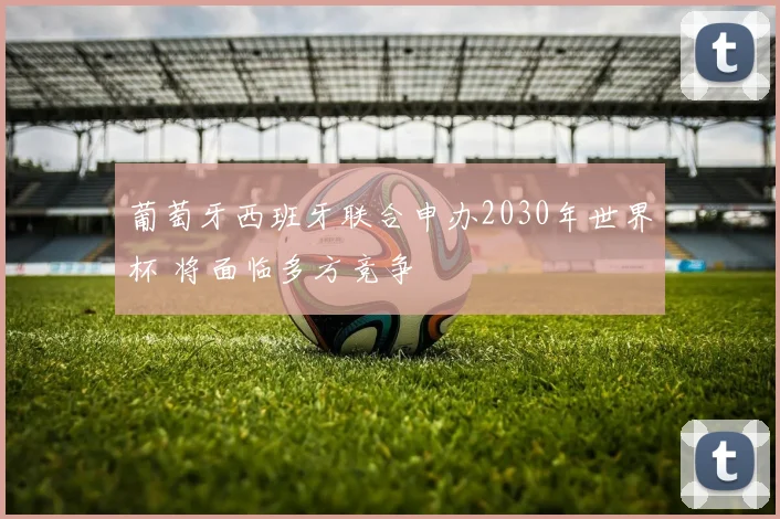 葡萄牙西班牙联合申办2030年世界杯 将面临多方竞争