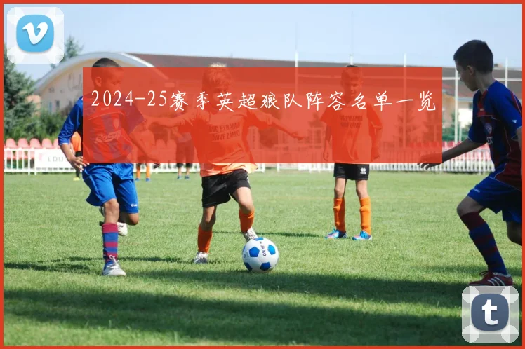 2024-25赛季英超狼队阵容名单一览